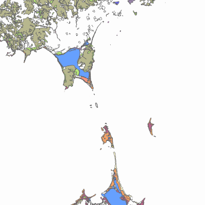 Export Image
